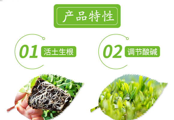 土壤修復劑-修田-愛農斯達_04