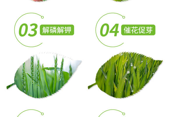 土壤修復劑-修田-愛農斯達_05