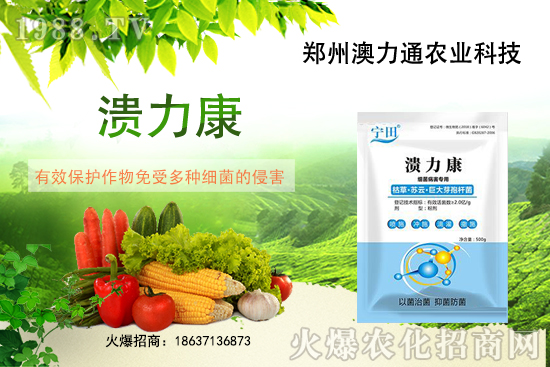 尿素價(jià)格