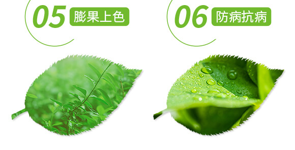 土壤修復劑-修田-愛農斯達_06