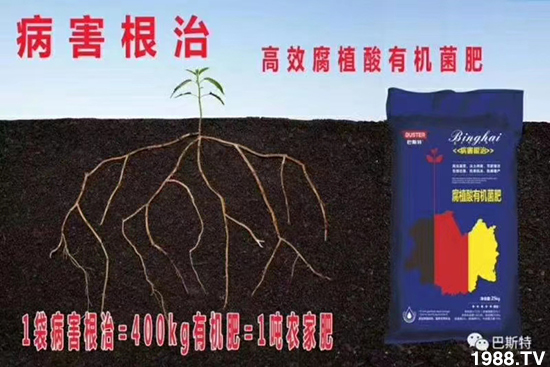 如何讓種植變得更輕松?一個套餐,全面配方,巴斯特大姜營養(yǎng)套餐方案!