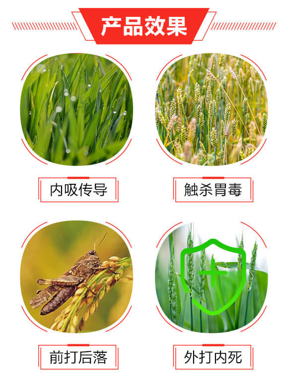 20%溴氰·吡蟲啉(200ml)-巧喜-富利達(dá)_03