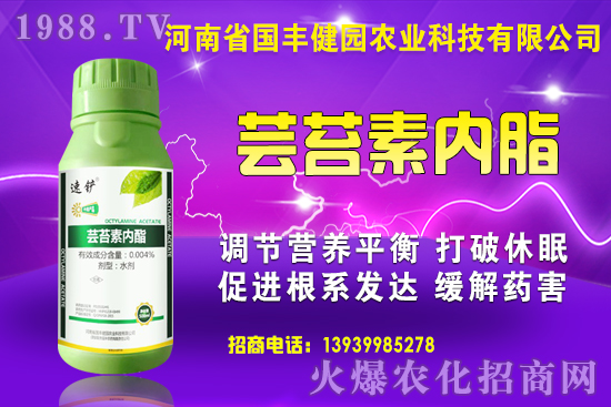 尿素價格