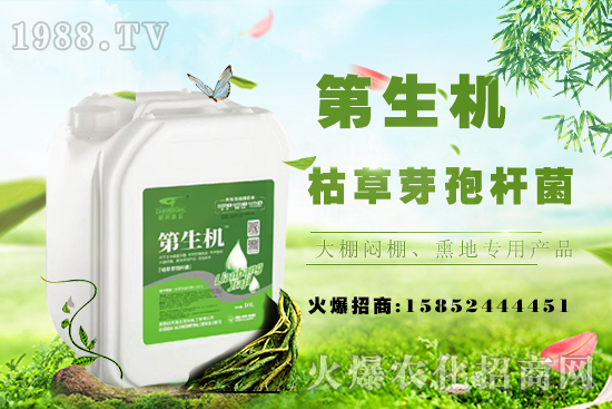 豆角只長(zhǎng)蔓不開(kāi)花啥原因?如何促花促莢提產(chǎn)量?