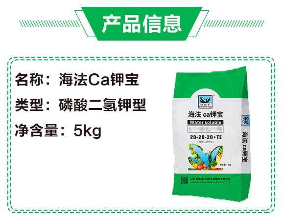Ca⛌20-20-20+TE5kg-_03