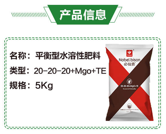 ƽˮԷ20-20-20+Mgo+TE5Kg-Zؐ_02