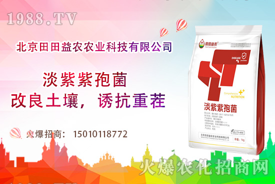 西紅柿需肥特點有哪些,西紅柿夏季如何管理?