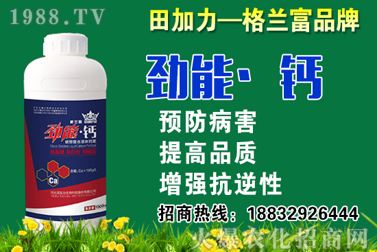 2020秋蘿卜什么時候種?秋蘿卜種植要注意哪些問題?