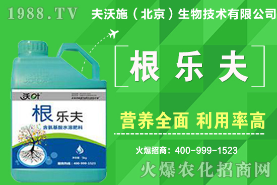 如何給蔬菜留種?蔬菜種子如何采收?良種標(biāo)準(zhǔn)有哪些?