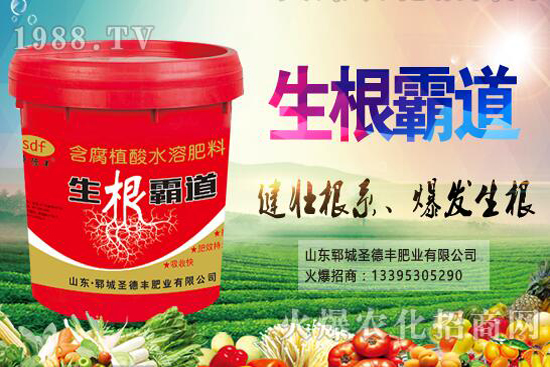 花椒樹種植季節(jié)是什么時(shí)候?花椒樹種植技巧有哪些?