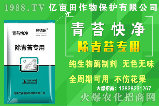2020年種植哪些蔬菜更賺錢?熱門蔬菜種植項(xiàng)目推薦!