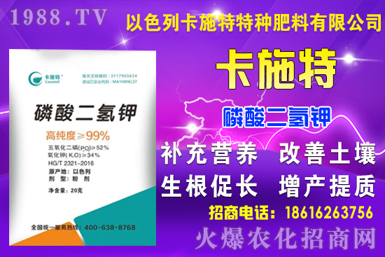今日糧價(jià): 9月7日小麥?zhǔn)袌?chǎng)行情預(yù)測(cè)!