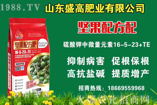 小麥價格還要上漲嗎?9月9日國內小麥價格行情!