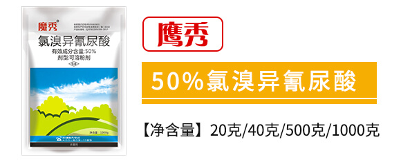 50%宐-o_02