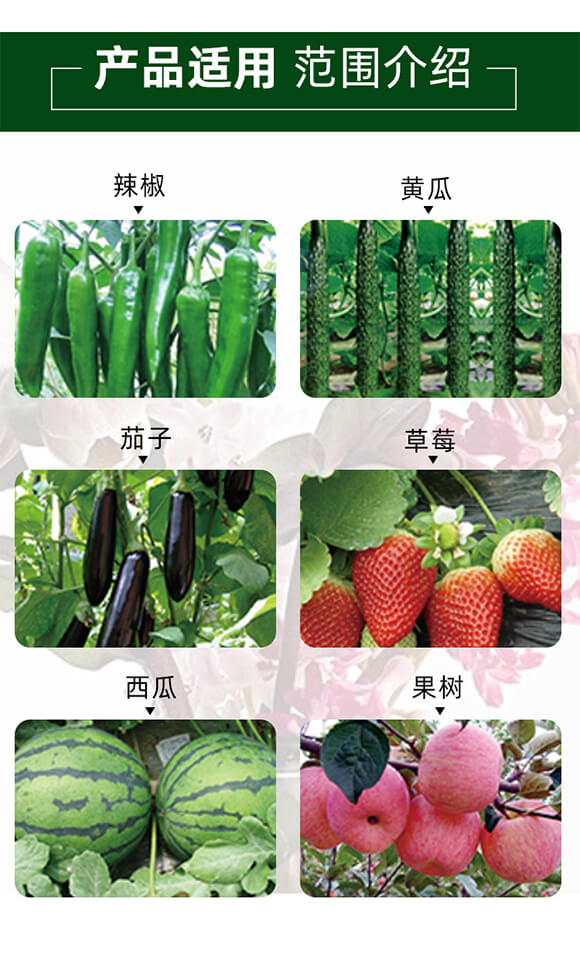 純營養(yǎng)生長(zhǎng)平衡劑-喜妞-佳田生物_05