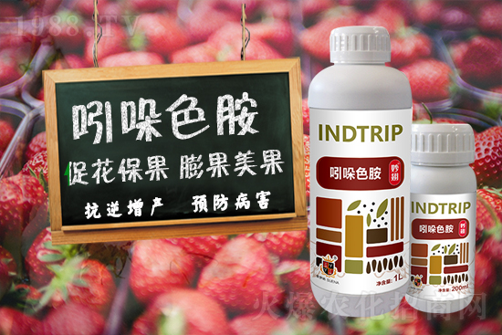 火爆農化網喜迎新盟友,艾德拉火爆來襲!