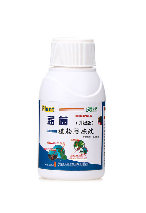 微生物菌劑(升級版)-藍菌植物防凍液-華濱1