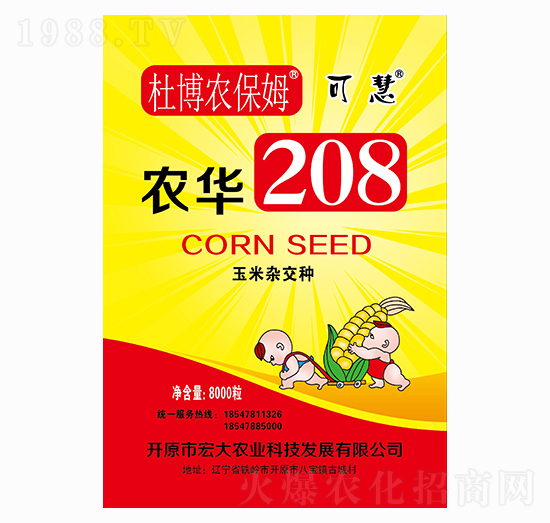 2021年玉米種子怎么選?2021年優(yōu)質玉米種子推薦