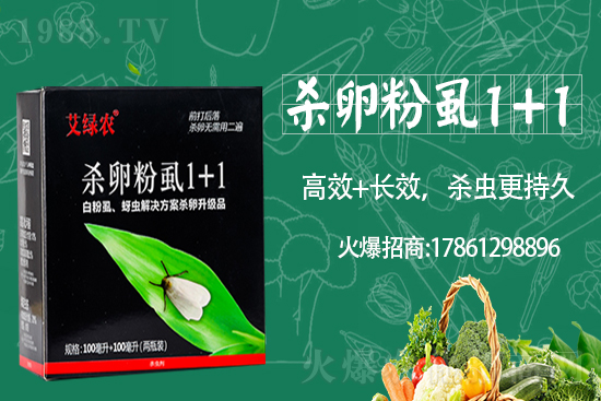 三邦農(nóng)業(yè)再度攜手1988.TV,攜手共創(chuàng)新戰(zhàn)績!