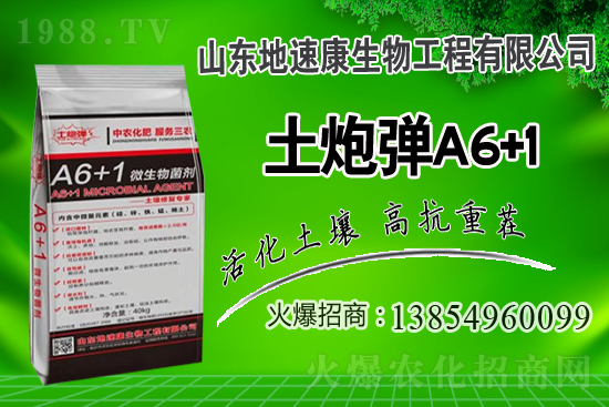 合作關系再升華,山東地速康與1988.TV開啟新篇章!