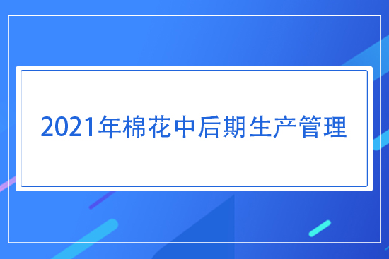 2021年棉花中后期生產(chǎn)管理指導(dǎo)意見(jiàn)