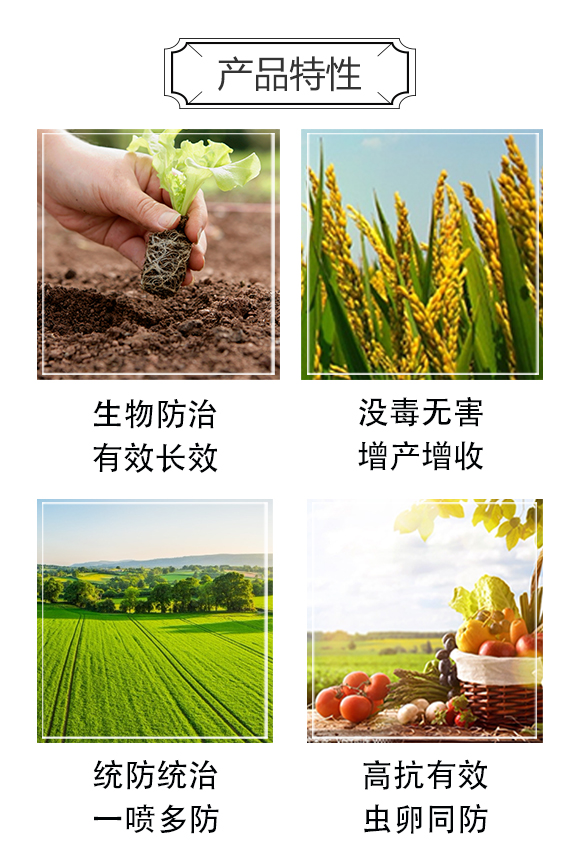 蚜虱落-強農生物_04