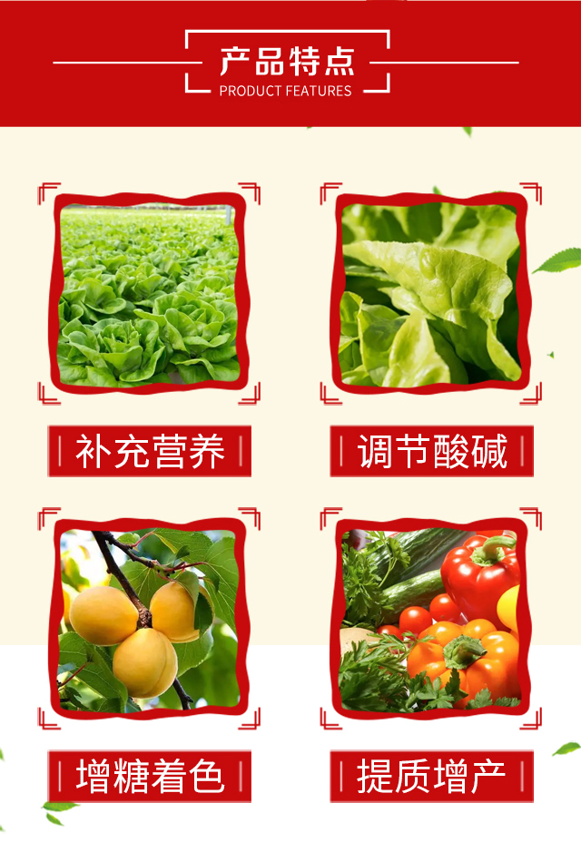 硝酸鉀鈣寶-海法科貿_04