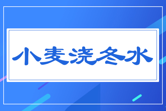 小麥澆冬水