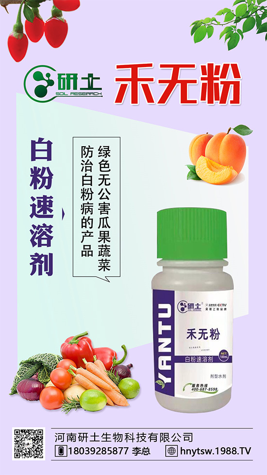 葡萄白粉病即將爆發(fā)!如何巧妙分辨白粉。