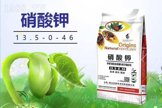 梁山正陽農業(yè)科技有限公司3
