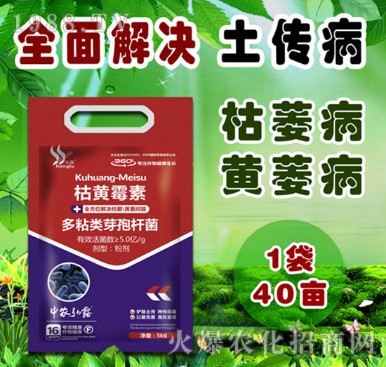 細(xì)菌性病害有哪些?防治藥劑怎么選?一篇文章說(shuō)明白