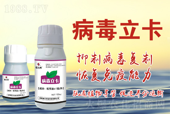 破解植物病毒防治難題!快速恢復(fù)生機!這個藥打上就管用!