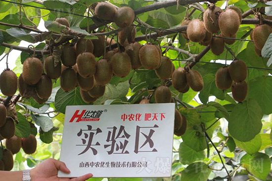 JcЩJôʩ