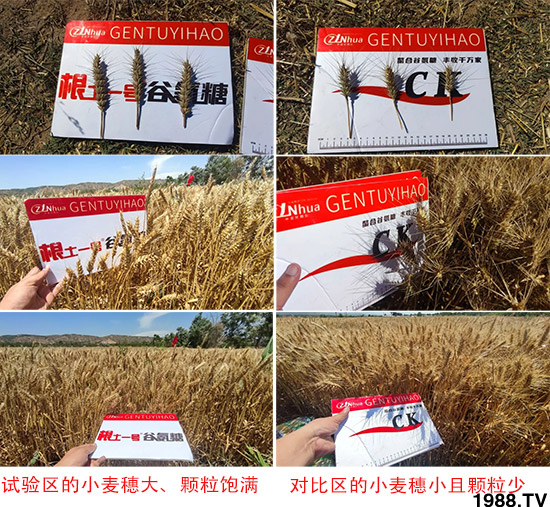 山西中農化生物技術股份有限公司25