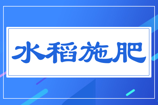 水稻施肥