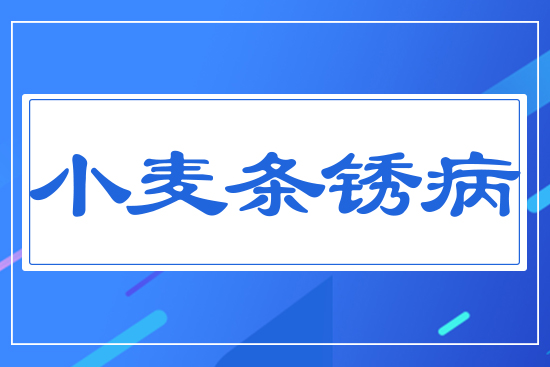 小麥條銹病