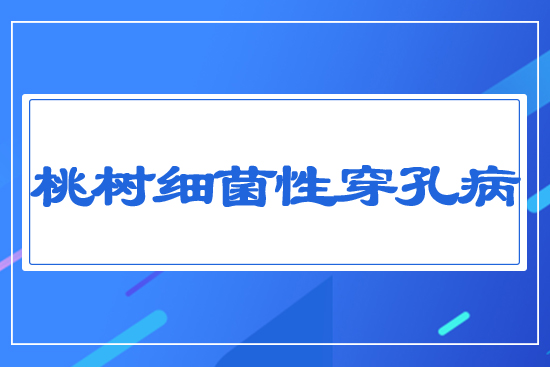 桃樹細菌性穿孔病