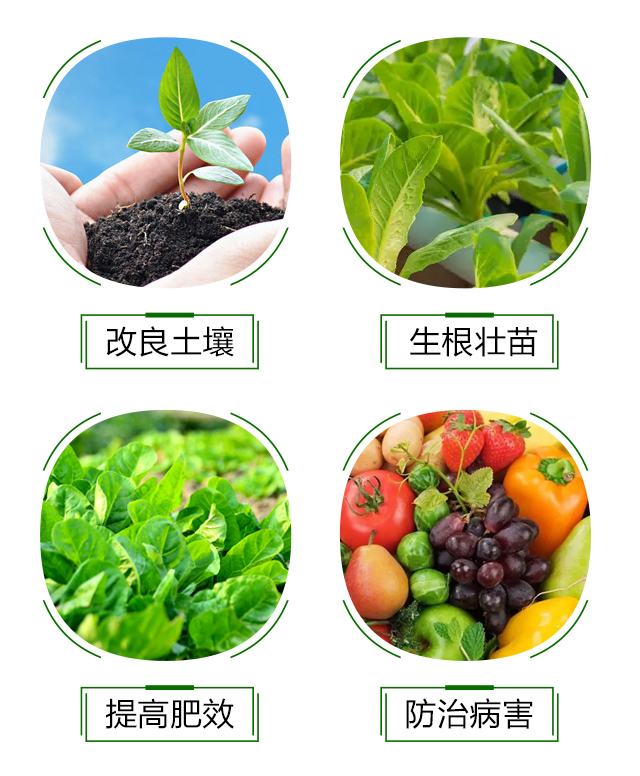 礦源黃腐酸鉀-誠銘領航_05