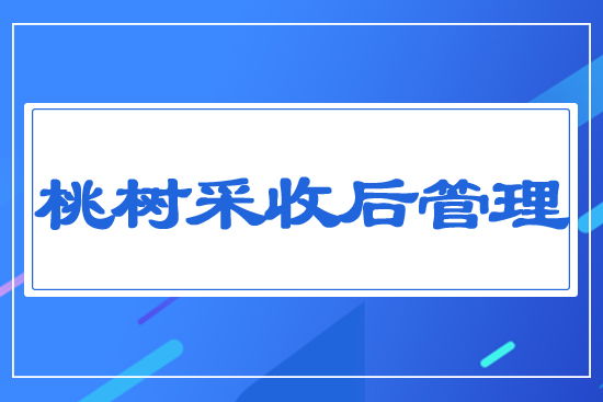 桃樹(shù)采收