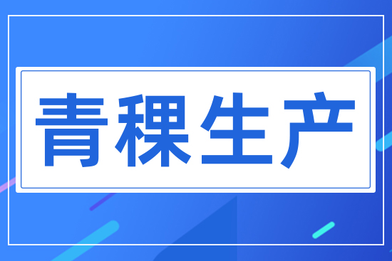 青稞生產