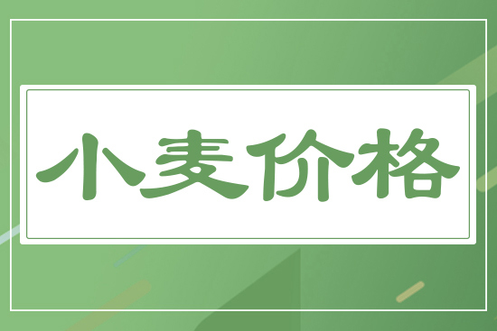 新麥開(kāi)秤價(jià)，一斤多少錢(qián)？5月19日小麥價(jià)格行情