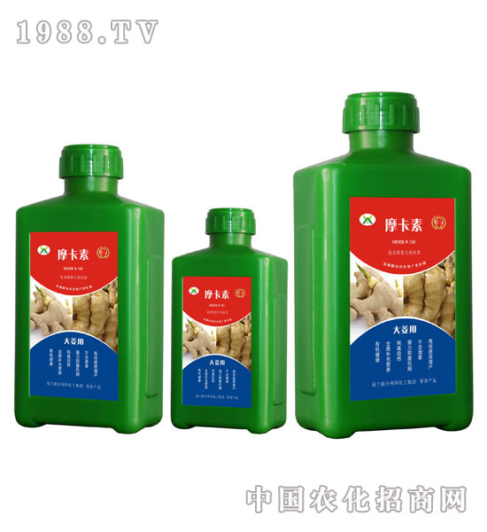 󽪌ðҺķ-Ħ-(qing)о(gu)H