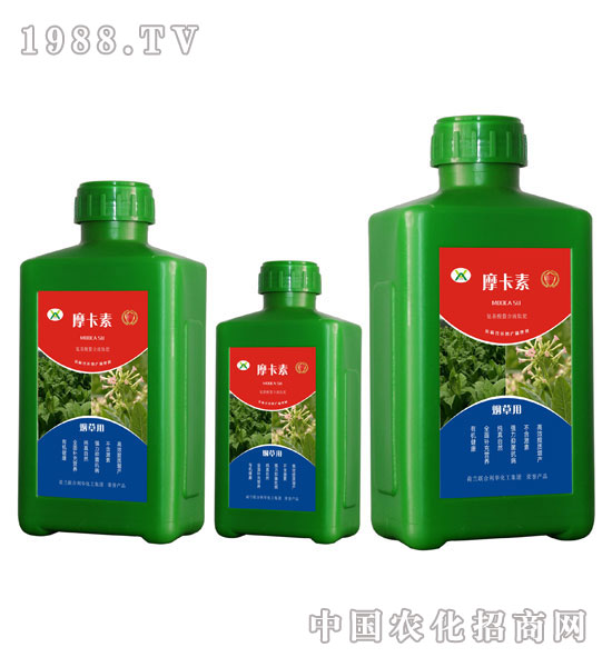 ݌(zhun)ðҺķ-Ħ-(qing)о(gu)H