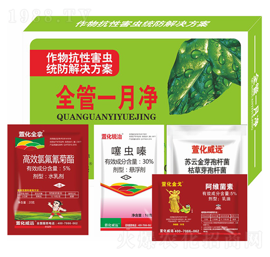￹Ժx(chng)y(tng)Q-ȫһ-滯h(yun)