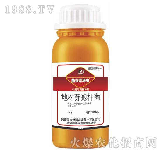 С(zhun)ðN-o(w)x(chng)-(gu)S@