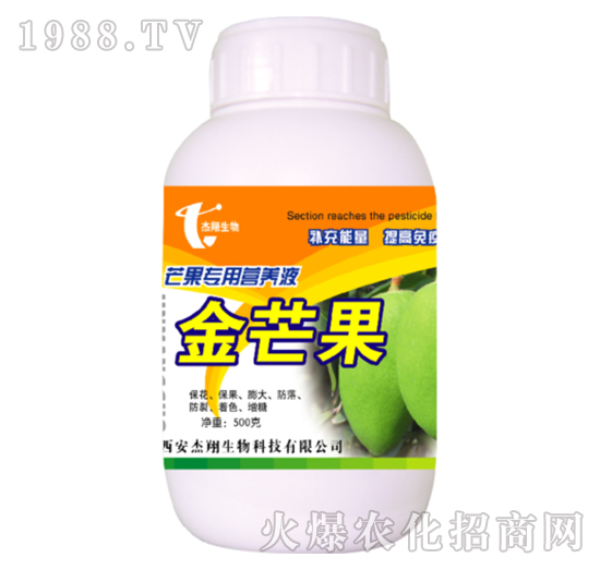 â(zhun)àI(yng)B(yng)Һ-â-