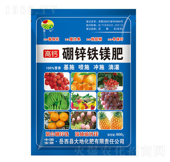 800g\FV-(bio)-ػ