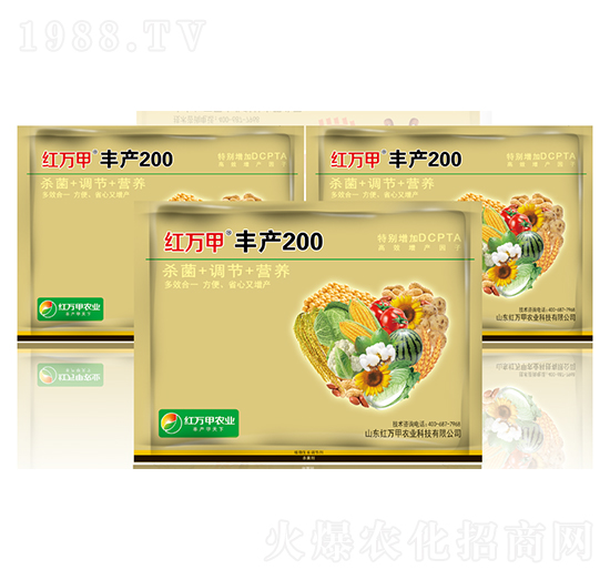 Sa(chn)200-tf(wn)