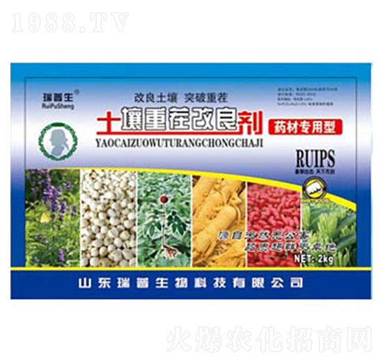 ˎČ(zhun)ز-