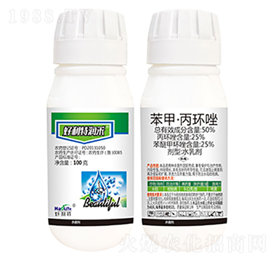 50%סh(hun)-؝(rn)-
